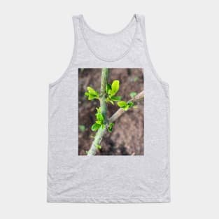 Gardenia Sprout Tank Top